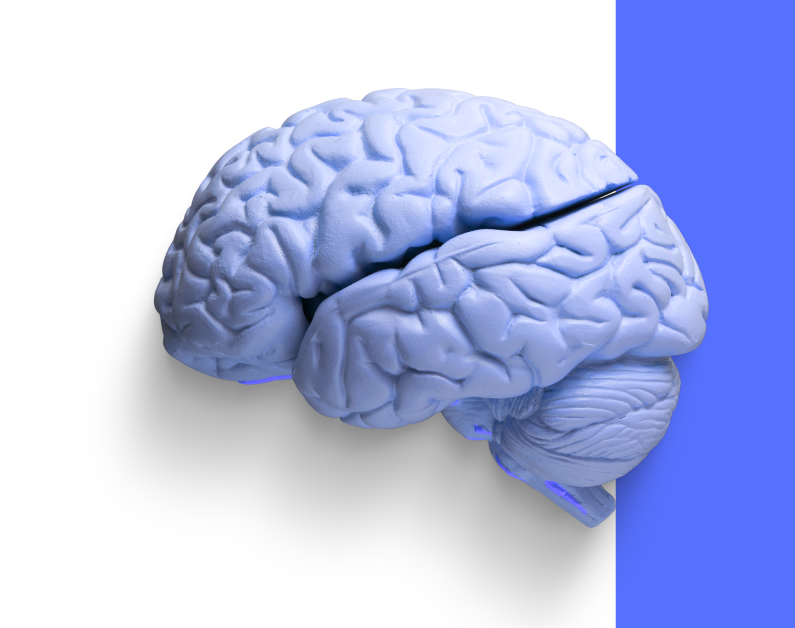 Untitled (1600 x 1264 px) (5)